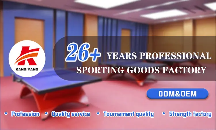 Premium Training Table Tennis Table (1)