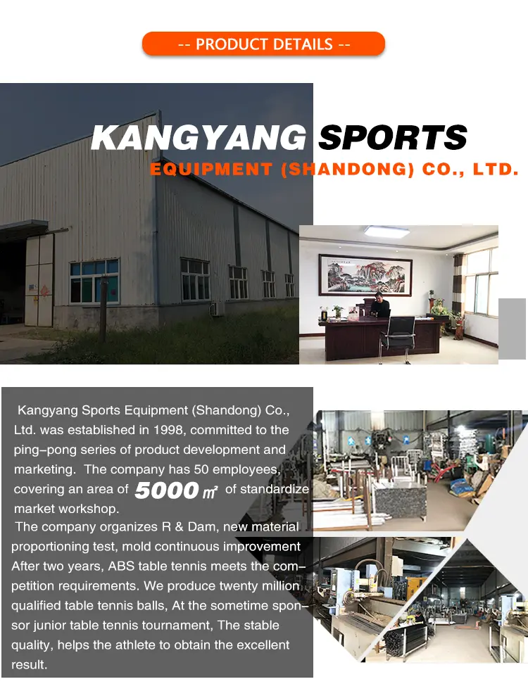 Outdoor Table Tennis Table (12)