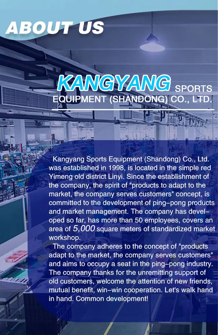 Professional Table Tennis Blades Carbon & All-Wood Mastery for Elite Play (31)